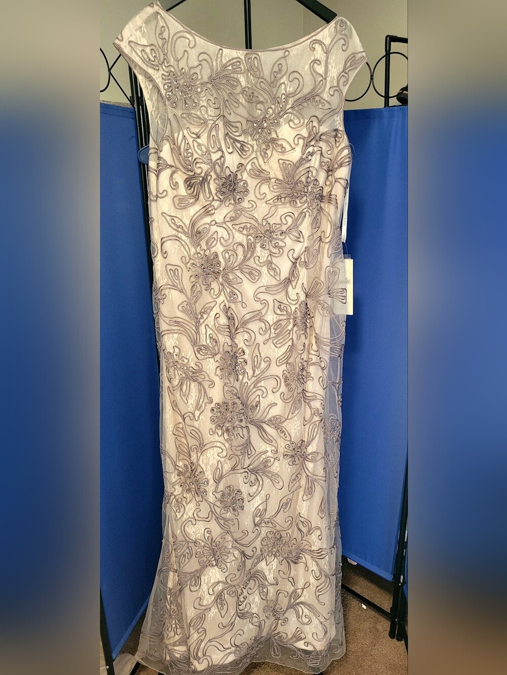 Cameron Blake Blush Maxi Dress with Silver Embroidery - Picture 8 of 9